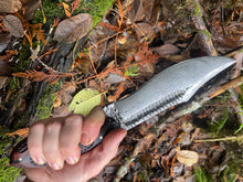 Limited Edition Fungal Filigree Fenrir - Amanita