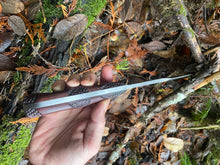 Limited Edition Fungal Filigree Fenrir - Amanita