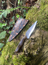 EDC utility / Chef’s petty knife 17