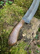 Frequency. Long slicing / bushcraft knife. 80CRV2 steel and bocote wood handle