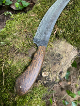 Frequency. Long slicing / bushcraft knife. 80CRV2 steel and bocote wood handle