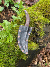 Sinister Sinuous Skinning Knife. Terrifyingly sharp. Morado wood handle.