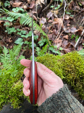 *AVAILABLE* Curvaceous hunting knife with harpoon swedge. Padouak wood handle.