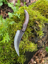 Sinister Sinuous Skinning Knife. Terrifyingly sharp. Morado wood handle.