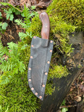 *AVAILABLE* Curvaceous hunting knife. Rosewood handle.