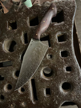 *AVAILABLE* Curvy Beast Chef's Knife, with Spiral Filigree etching and Morado (Bolivian rosewood) handle.