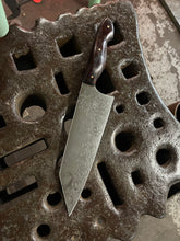 *AVAILABLE* Bunka Chef's knife with Spiral filigree etching and Cocobolo handle