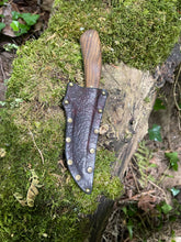 Refined Corsair knife with filigree etching and bocote wood handle