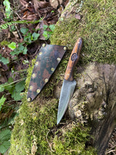 Chef’s petty / EDC utility knife 2