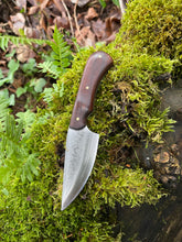 Good ‘Ol Skinnin’ Knife. Razor sharp. Morado handle