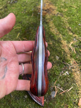 *Available* Fafnir! Curvaceous and fierce belt knife.