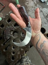 *AVAILABLE* Elegantly curved harvesting talon