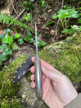 Refined Corsair knife with filigree etching and bocote wood handle