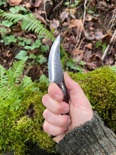 Sinister Sinuous Skinning Knife. Terrifyingly sharp. Morado wood handle.