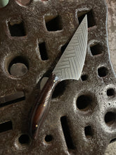 *AVAILABLE* Fancy Dancer Chef's knife with Herringbone etching and carved Morado handle.