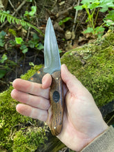 EDC utility / Chef’s petty knife 11