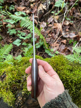 *AVAILABLE* Curvaceous hunting knife. Rosewood handle.