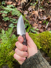 Good ‘Ol Skinnin’ Knife. Razor sharp. Morado handle