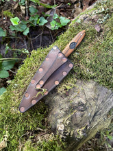 Chef’s petty / EDC utility knife 5