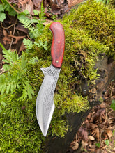 *AVAILABLE* Curvaceous hunting knife with harpoon swedge. Padouak wood handle.