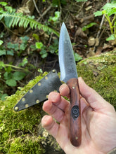 EDC utility / Chef’s petty knife 16