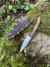EDC utility / Chef’s petty knife 24