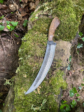 Frequency. Long slicing / bushcraft knife. 80CRV2 steel and bocote wood handle