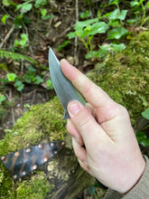 EDC utility / Chef’s petty knife 25