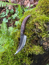 Sinister Sinuous Skinning Knife. Terrifyingly sharp. Morado wood handle.