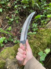 Frequency. Long slicing / bushcraft knife. 80CRV2 steel and bocote wood handle