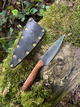 EDC utility / Chef’s petty knife 16