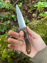 EDC utility / Chef’s petty knife 24