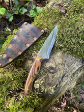 EDC utility / Chef’s petty knife 11