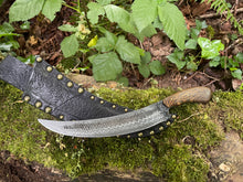 Frequency. Long slicing / bushcraft knife. 80CRV2 steel and bocote wood handle
