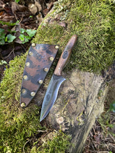 Chef’s petty / EDC utility knife 8