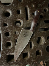 *AVAILABLE* Curvy Beast Chef's Knife, with Spiral Filigree etching and Morado (Bolivian rosewood) handle.