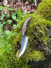 Sinister Sinuous Skinning Knife. Terrifyingly sharp. Morado wood handle.