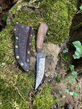Refined Corsair knife with filigree etching and bocote wood handle