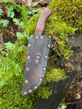 *AVAILABLE* Curvaceous hunting knife. Rosewood handle.