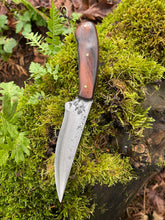 *AVAILABLE* Corsair knife! Great for EDC and hunting/butchery. Morado wood handle