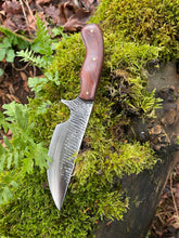 *AVAILABLE* Curvaceous hunting knife. Rosewood handle.